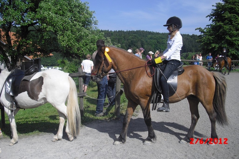 Turnierteilnahme mit Islandpferden